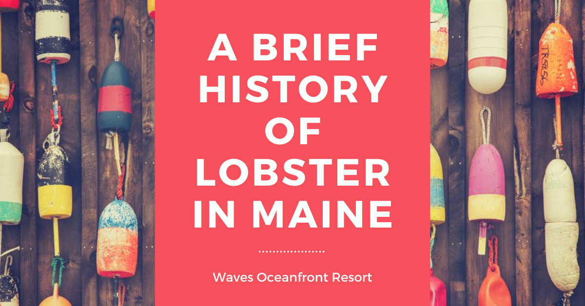 lobster article header - Waves Oceanfront Resort